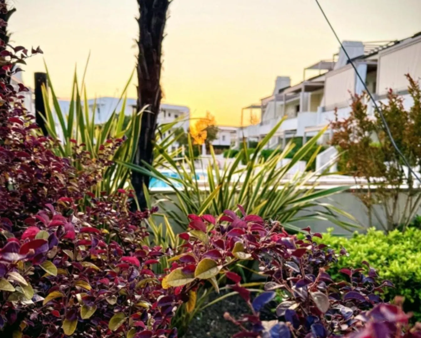 Residence Jesolo Lido Centro Con Piscina Appartement Lido di Jesolo